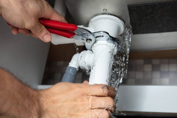 Best Carpet water damage restoration  in Goulding, FL