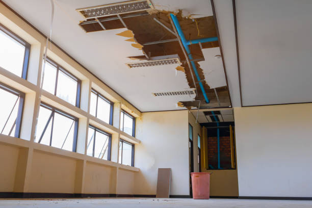 Best Basement water damage restoration  in Goulding, FL