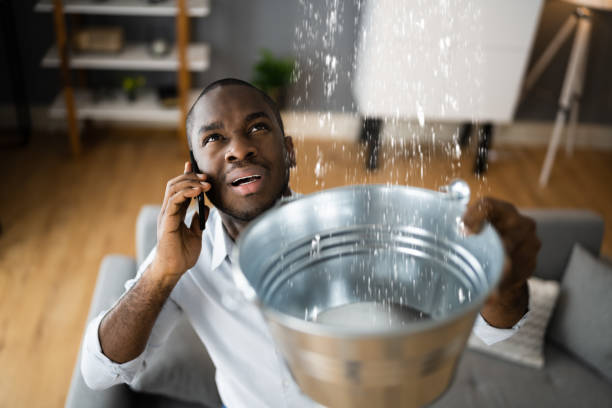 Best Flood restoration services  in Goulding, FL