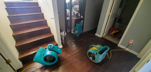 Best Fire Damage Restoration  in Goulding, FL