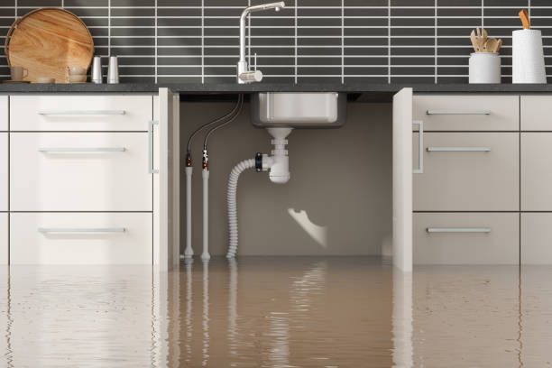 Best Sewage cleanup and water damage restoration  in Goulding, FL