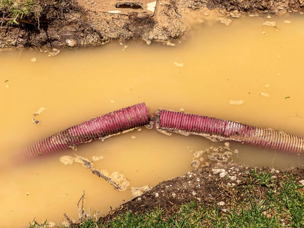 Best Water damage restoration near me  in Goulding, FL